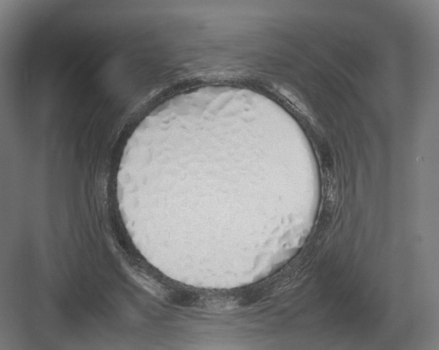 X0000082150491200702162212