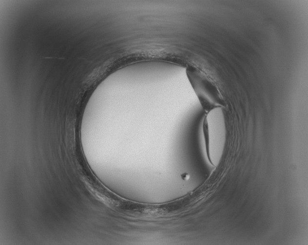 X0000082150493200702162212