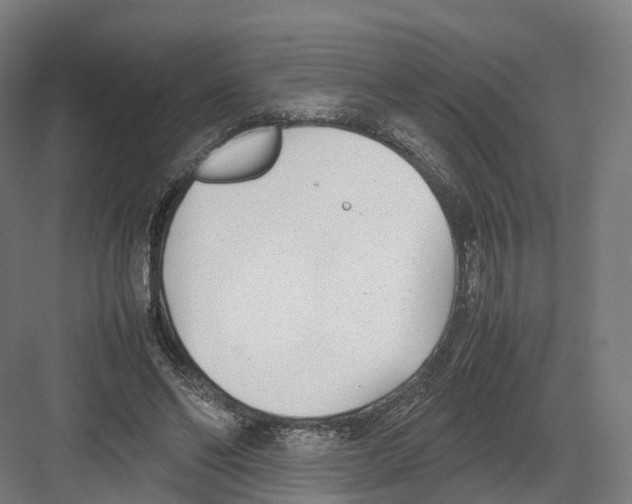 X0000082150494200702162212