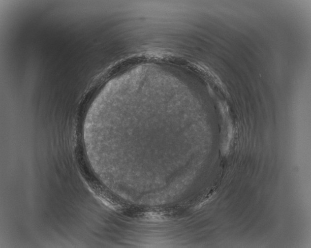 X0000082150496200702162212