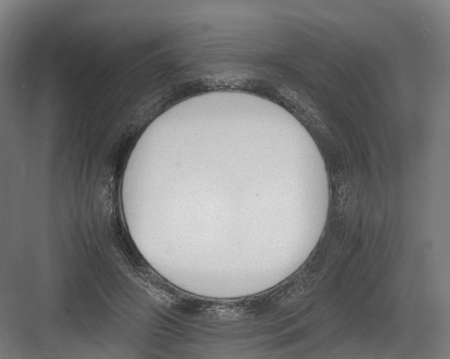 X0000082150498200702162212