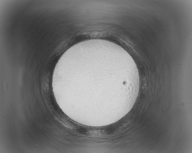 X0000082150499200702162212