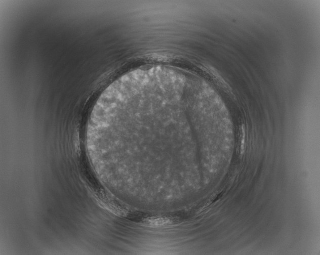 X0000082150500200702162212