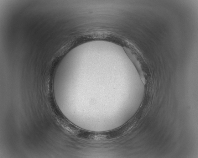 X0000082150501200702162212