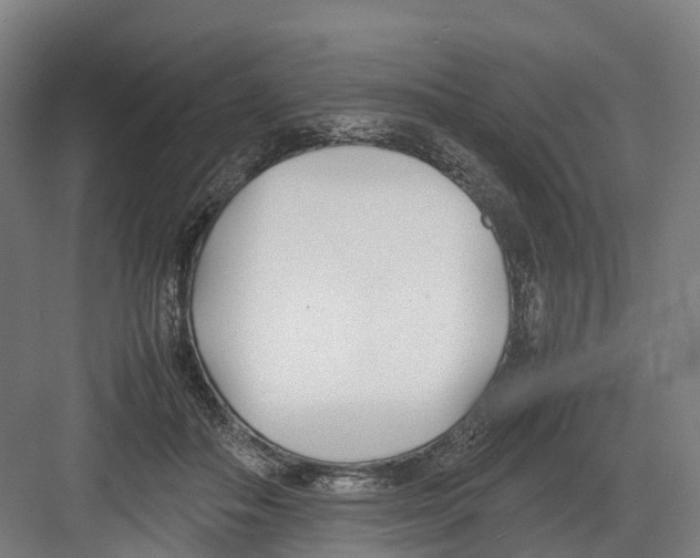 X0000082150506200702162212