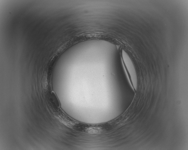 X0000082150508200702162212