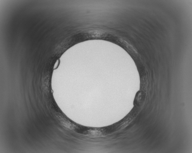 X0000082150509200702162212