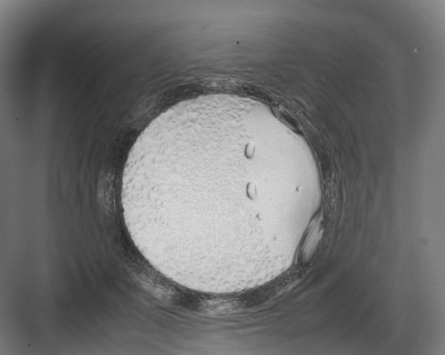 X0000082150511200702162212