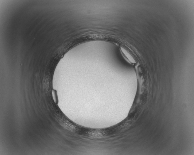 X0000082150513200702162212