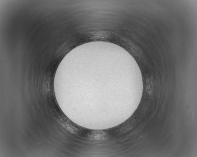 X0000082150514200702162212