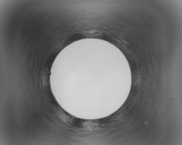 X0000082150515200702162212