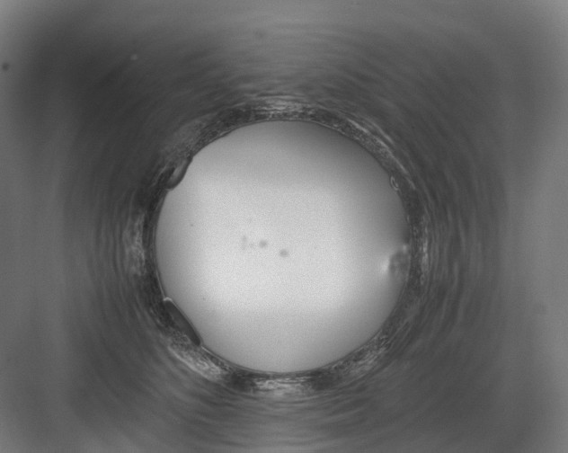 X0000082150516200702162212