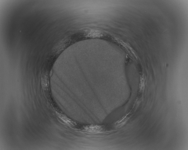 X0000082150517200702162212