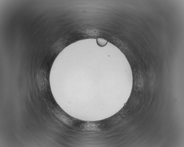 X0000082150518200702162212