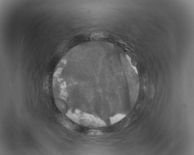 X0000082150519200702162212