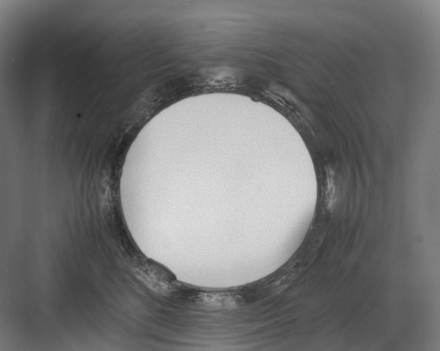 X0000082150520200702162212