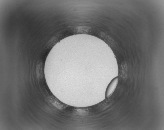 X0000082150522200702162212