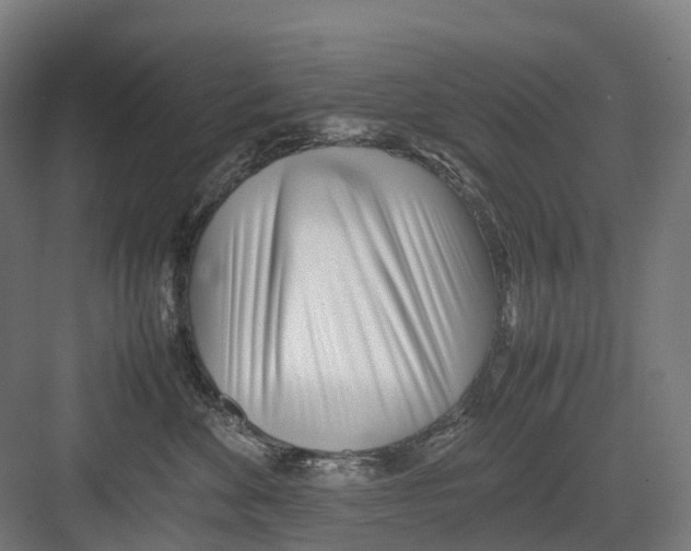 X0000082150524200702162212