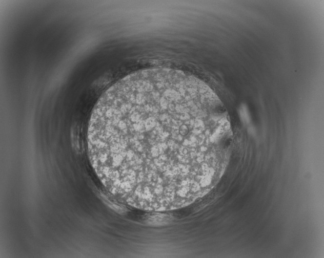 X0000082150527200702162212