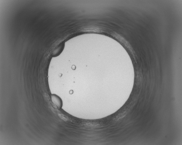 X0000082150529200702162211