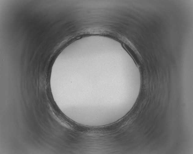 X0000082150530200702162211