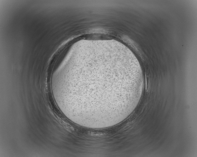 X0000082150531200702162211