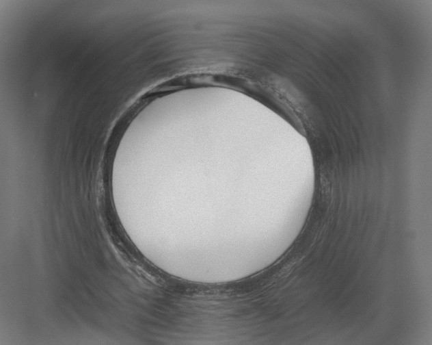 X0000082150532200702162211