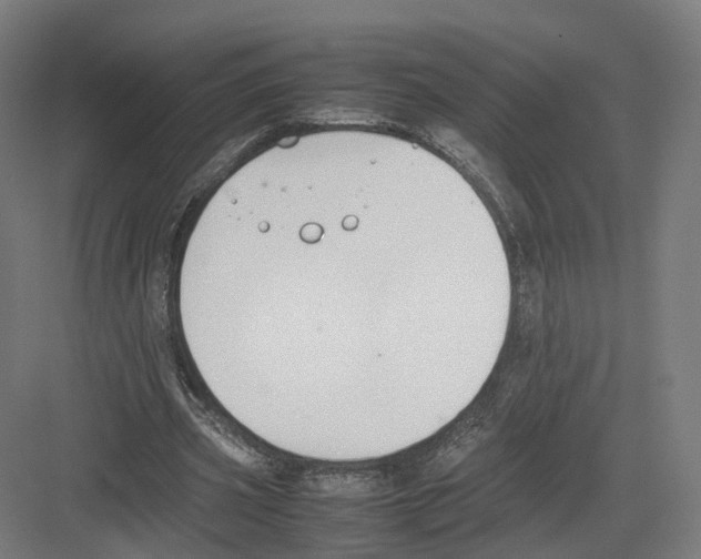 X0000082150533200702162211