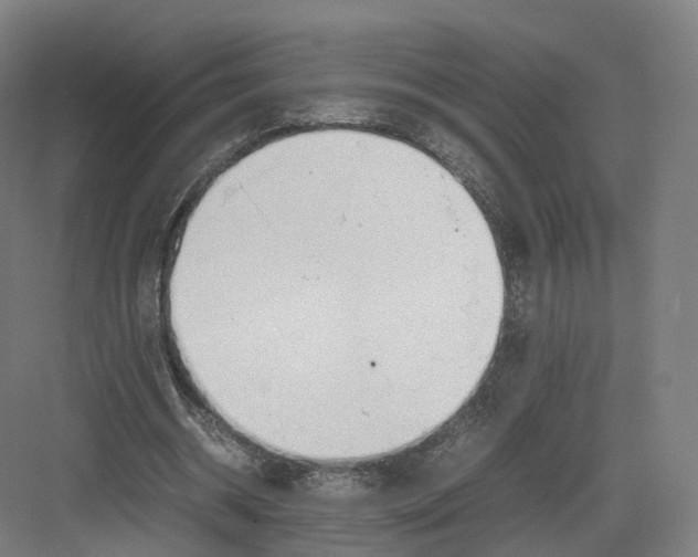 X0000082150534200702162211