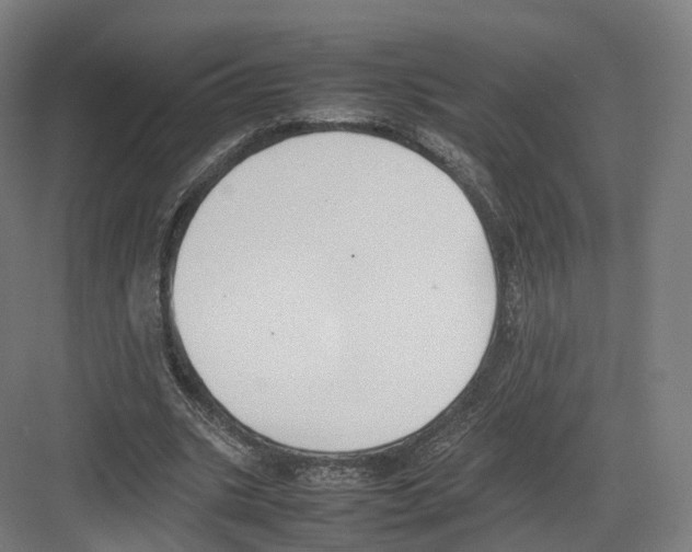 X0000082150535200702162211