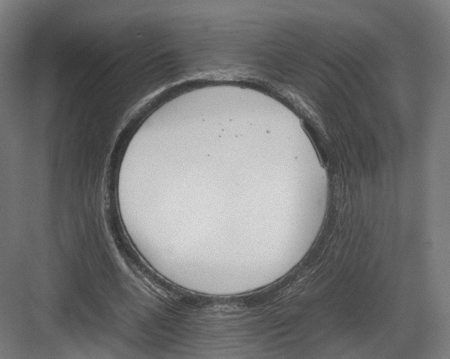 X0000082150536200702162211