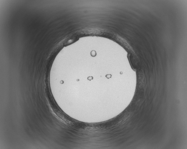 X0000082150538200702162211