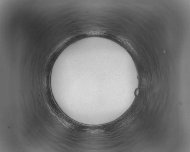 X0000082150539200702162211