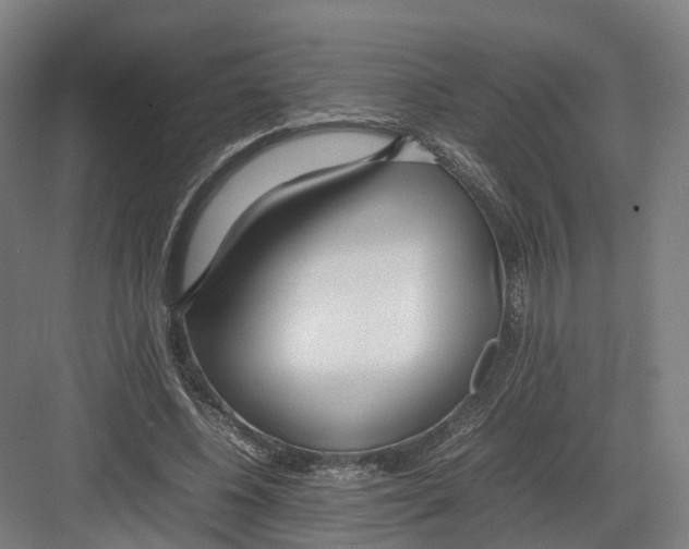 X0000082150540200702162211