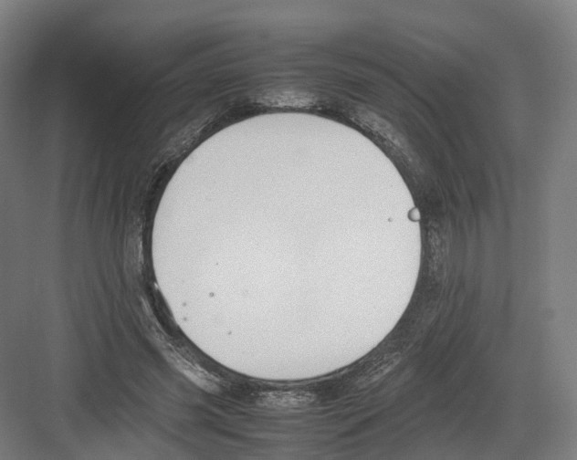 X0000082150541200702162211