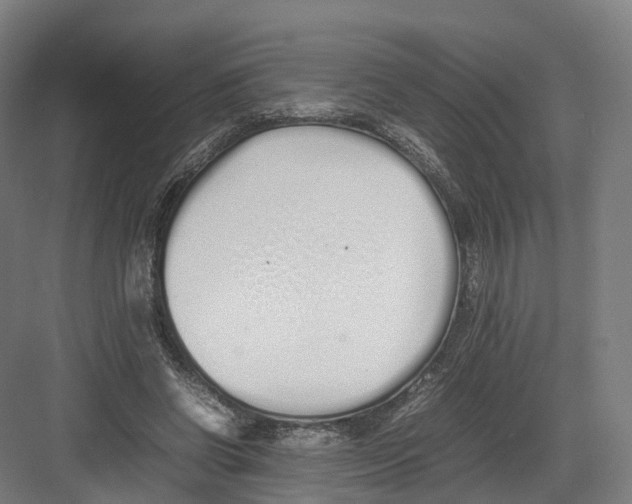 X0000082150542200702162211