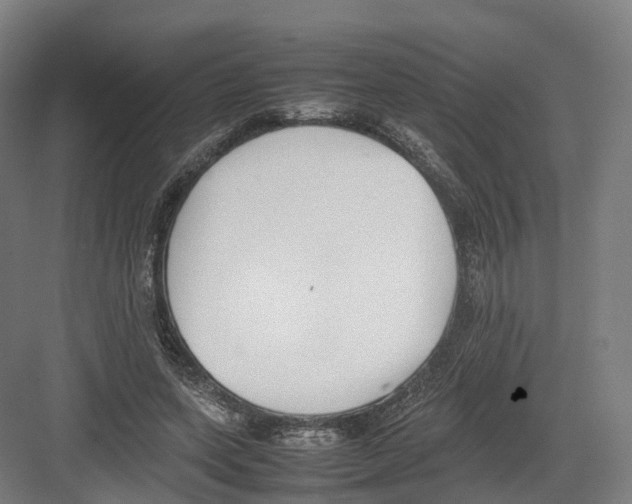 X0000082150543200702162211