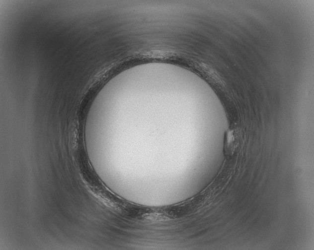 X0000082150544200702162211