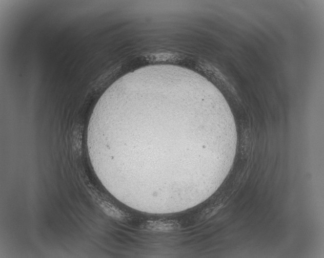 X0000082150545200702162211