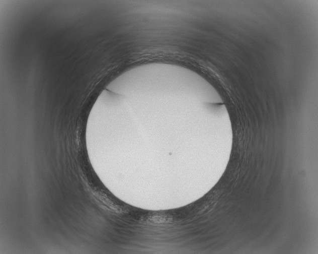 X0000082150546200702162211