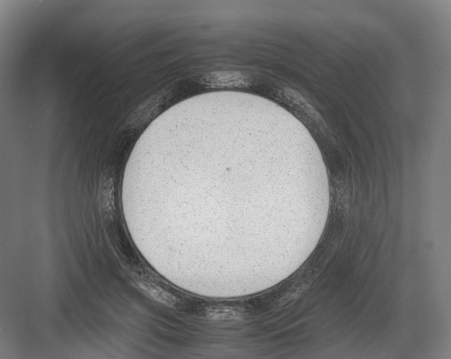 X0000082150549200702162211