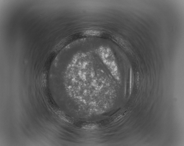 X0000082150551200702162211