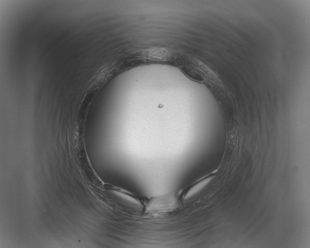 X0000082150552200702162211