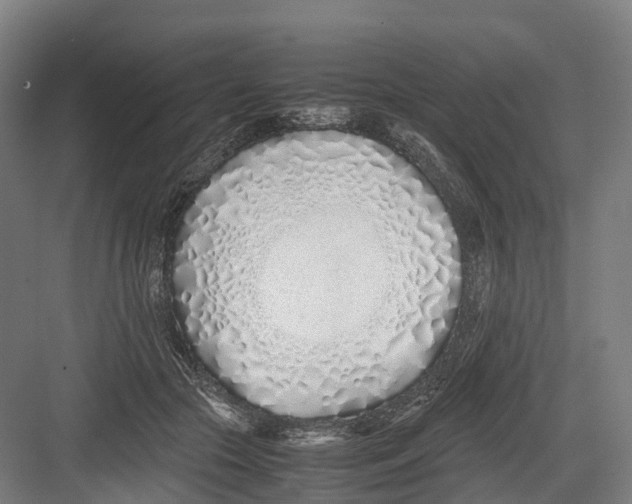 X0000082150553200702162211