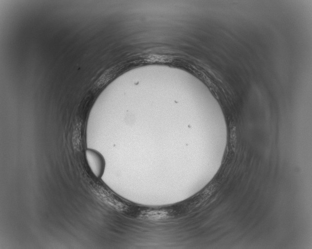 X0000082150554200702162211