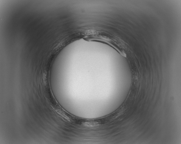 X0000082150556200702162211