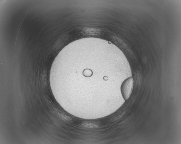 X0000082150557200702162211