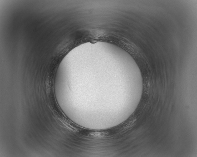 X0000082150558200702162211