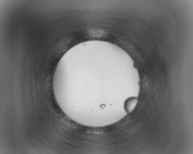 X0000082150559200702162211