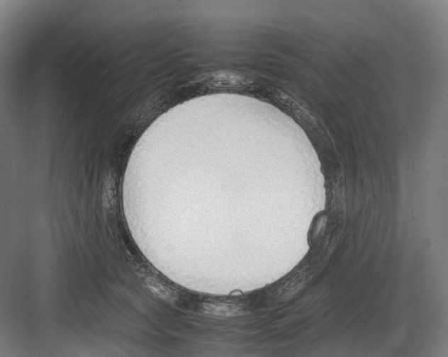 X0000082150561200702162211